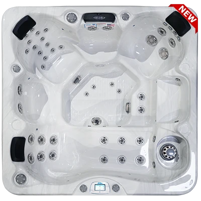 Avalon-X EC-849LX hot tubs for sale in Chapel Hill