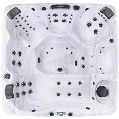 Avalon EC-867L hot tubs for sale in Chapel Hill